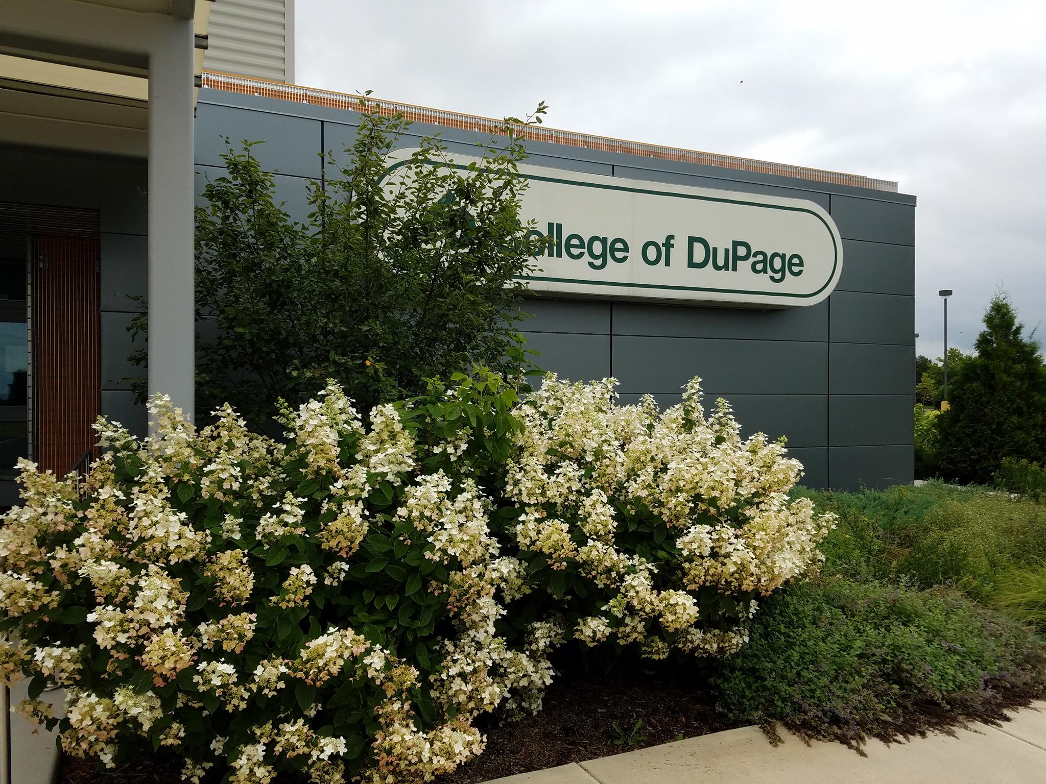 College of DuPage... - College of DuPage - Naperville Center