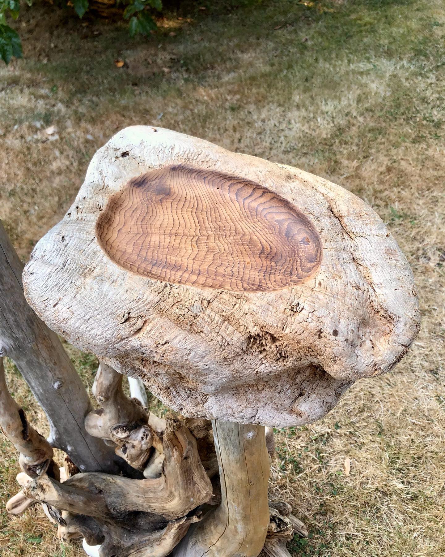 Transforming driftwood into art through woodworking