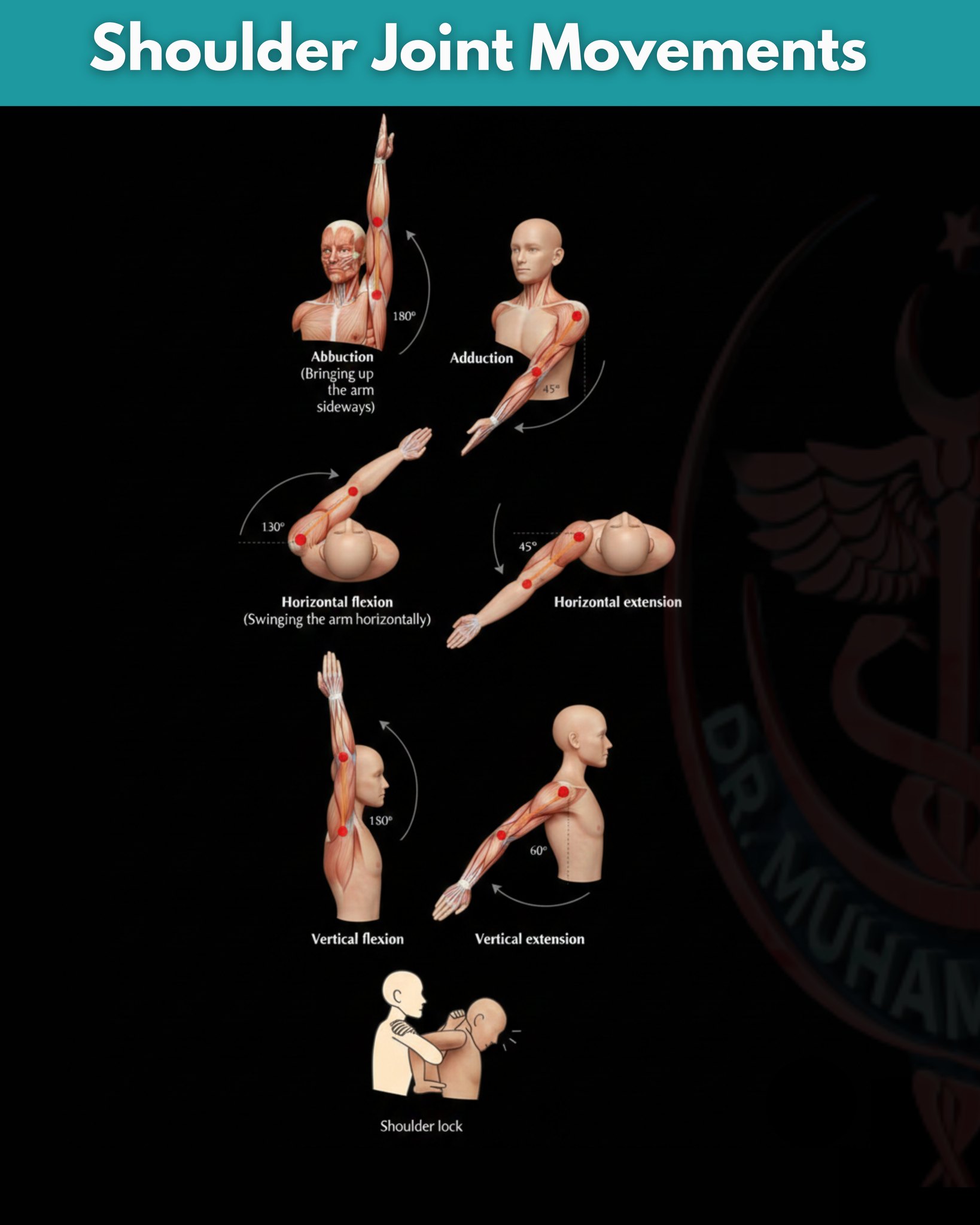 Human anatomy and physiology | 🦴 Shoulder Joint Movements ...