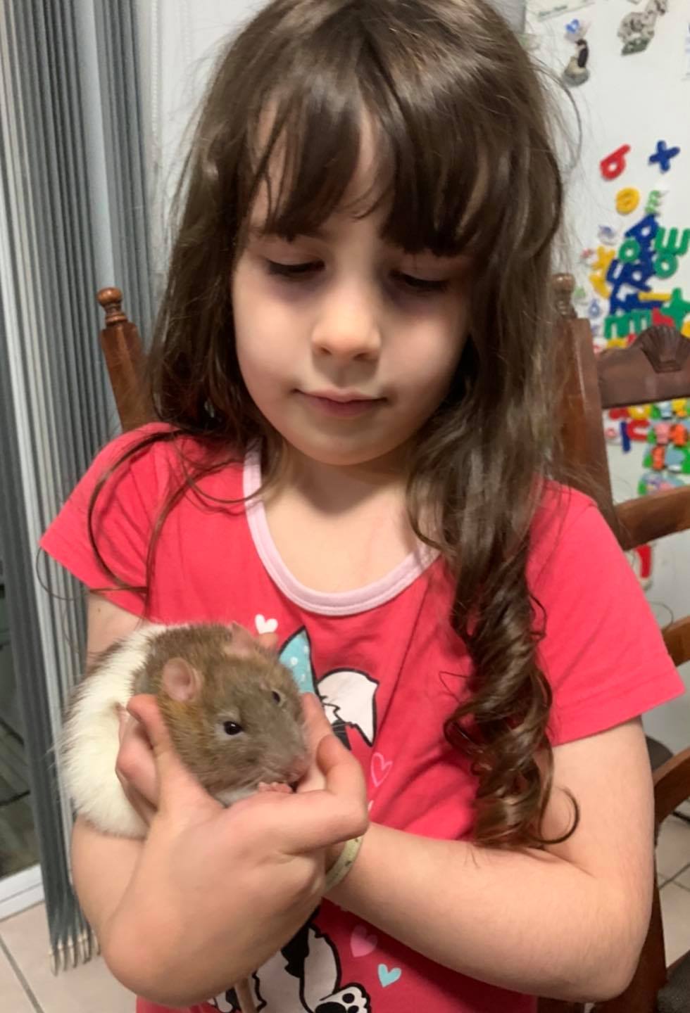 The perils of breeding…, sorry... - Rainbow Magic Rattery | Facebook