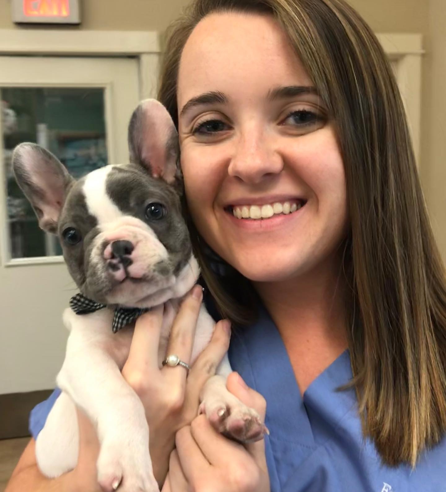 East Hill Animal Hospital... - East Hill Animal Hospital