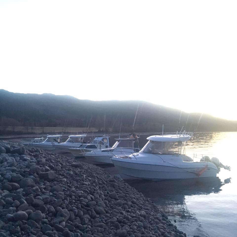 Vi ser allerede nå att noen kakker villfisk på fjorden. Reglen er der ...