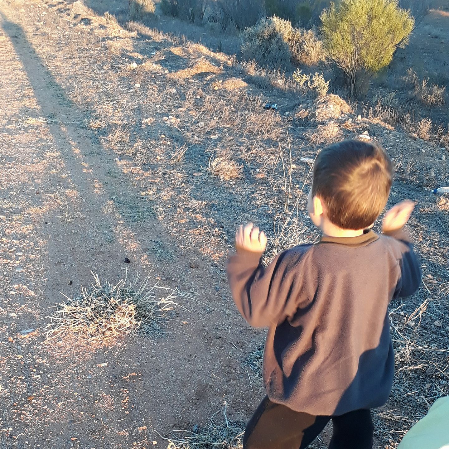 We camped out in the outback last... - Learning at Holmes