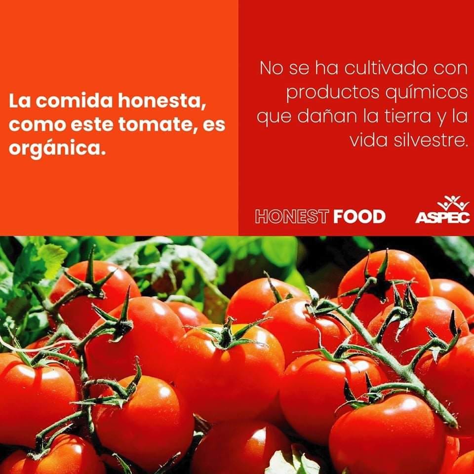 🙋‍♀️... - Oclac- Organización Latinoamericana de Consumidores