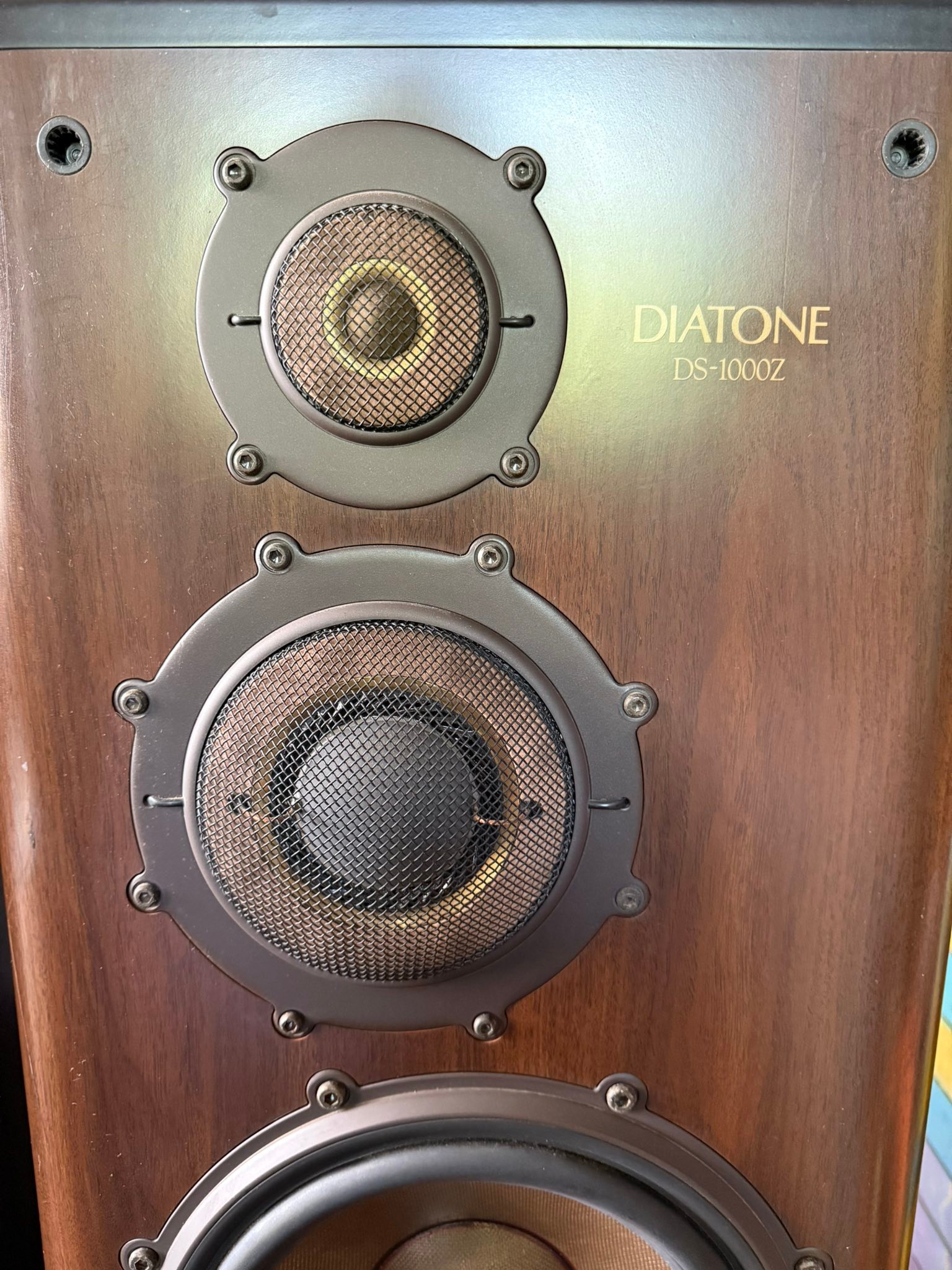 Diatone DS1000Z