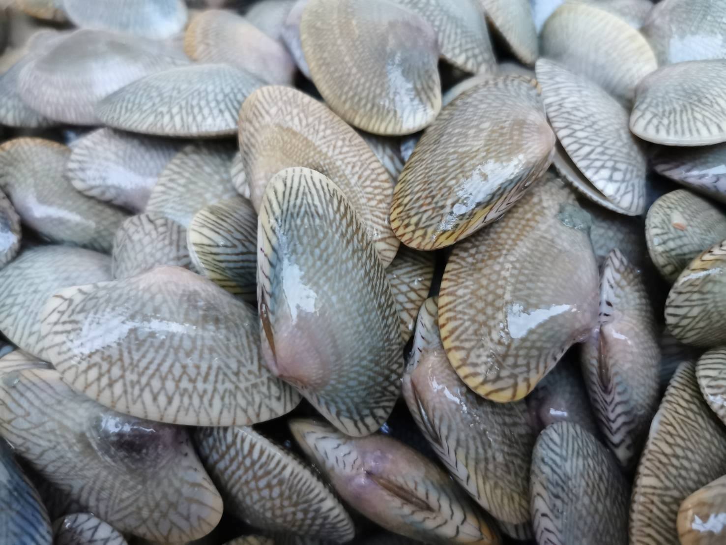 Patcha Fresh Seafood added a new photo. - Patcha Fresh Seafood