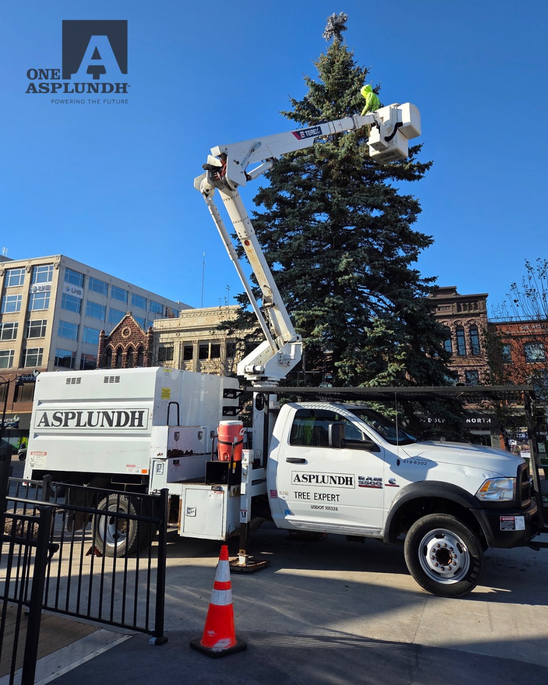 Asplundh Tree Expert, LLC - With the recent warm days followed by cold ...