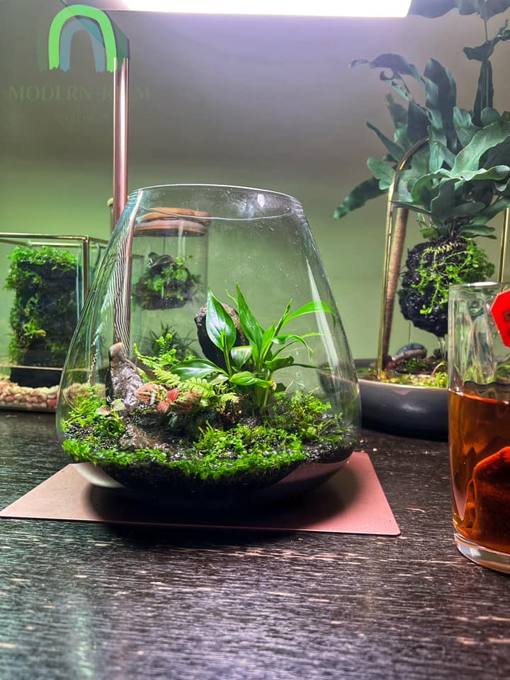 Modern-rium - Imagine waking up early then prepare a cup... | Facebook