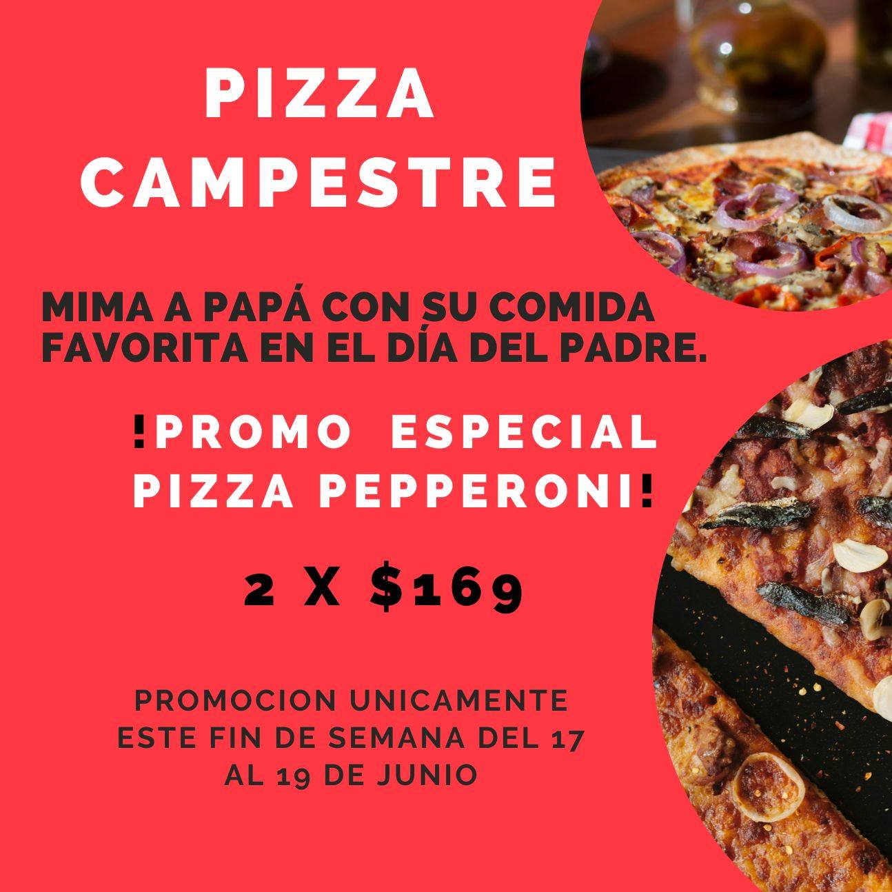 pizza-campestre-festeja-a-papa-2-pizzas-grandes-de
