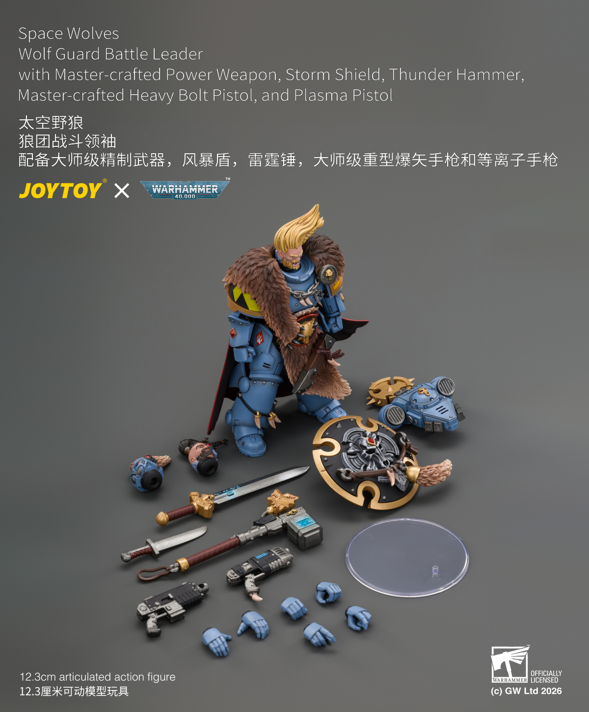 Space Wolves Wolf Guard Battle Leader with Master-crafted Power