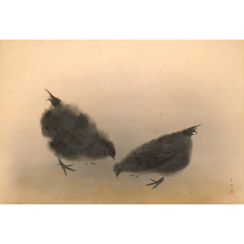 川合玉堂《写生画巻》では、後期には鴛鴦や文鳥など様々な種類や姿態の