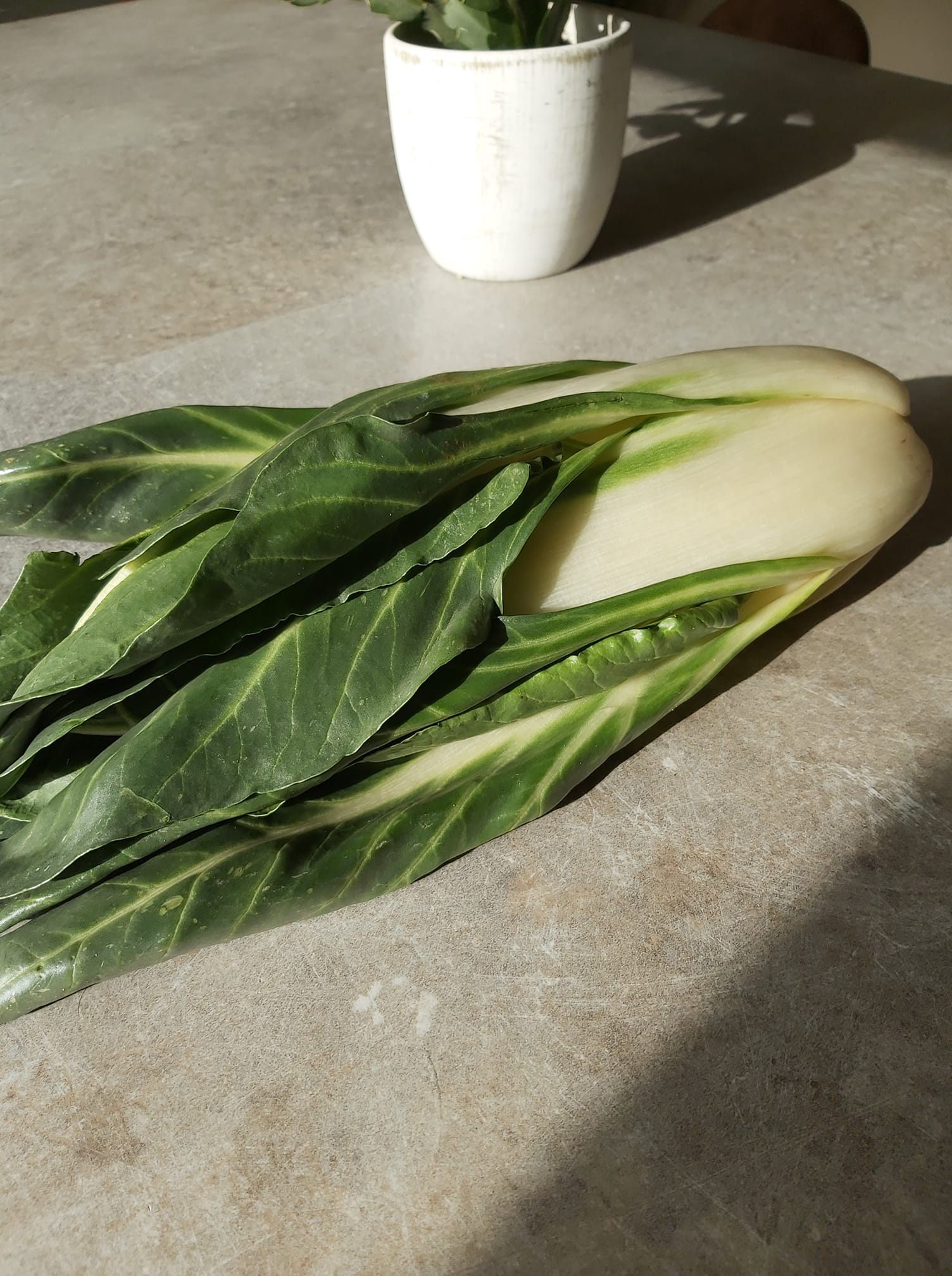 Les Petits Pots De Cam Petit Quiz Legume Savez Vous Quel Est Ce Legume Une Alimentation Variee Et Equilibree Pour Bebe Implique D Introduire Un Maximum De Nouvelles