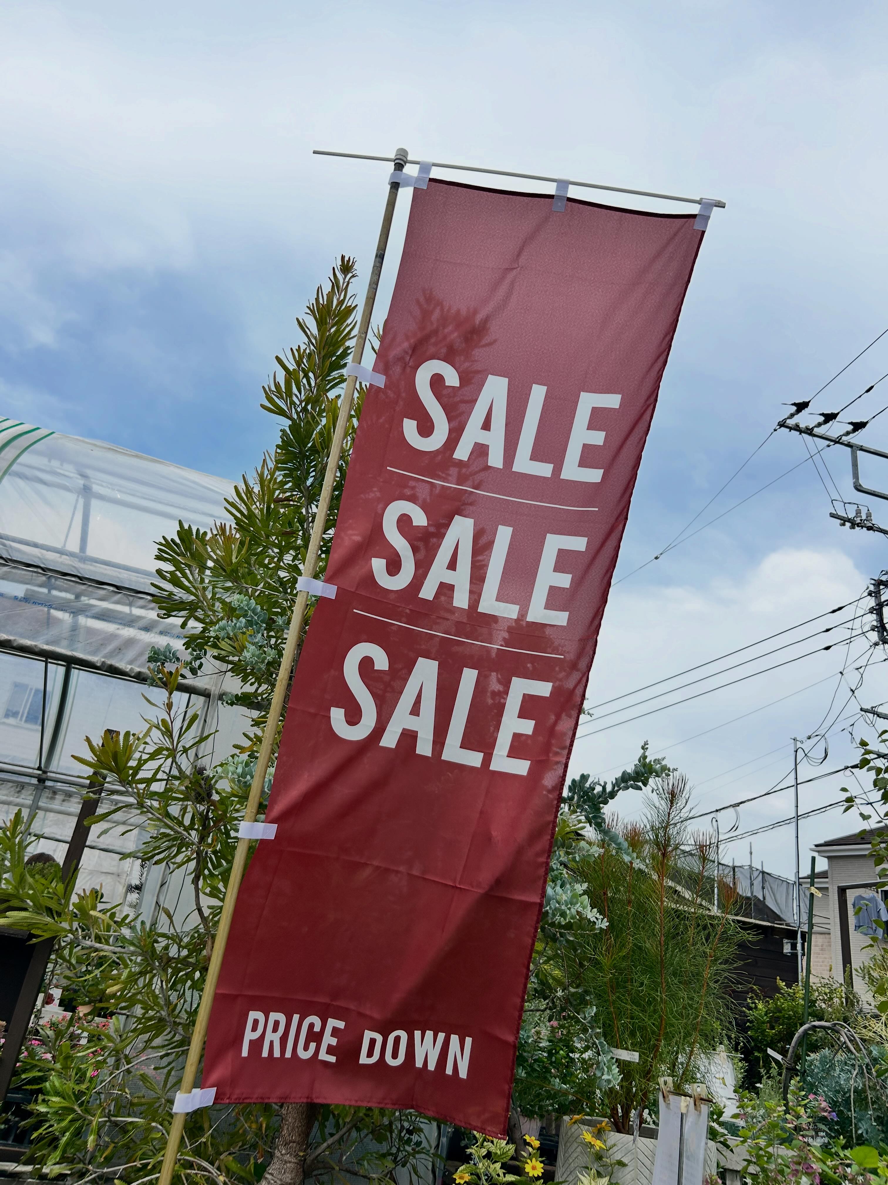 お知らせ📢】 🌞🌴🌺✨Summer SALE開催！！🌞🌴🌺✨ 本日より、 全品