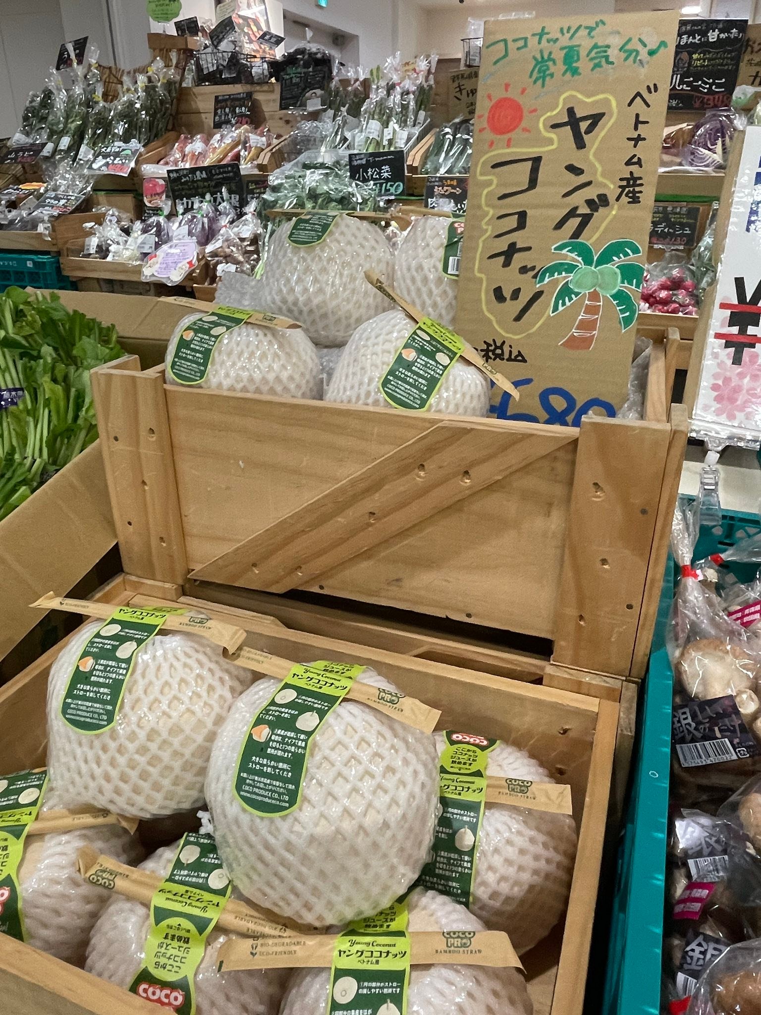 地下やおえん ヤングココナッツ販売中🥥 美容・健康に良いといわれる