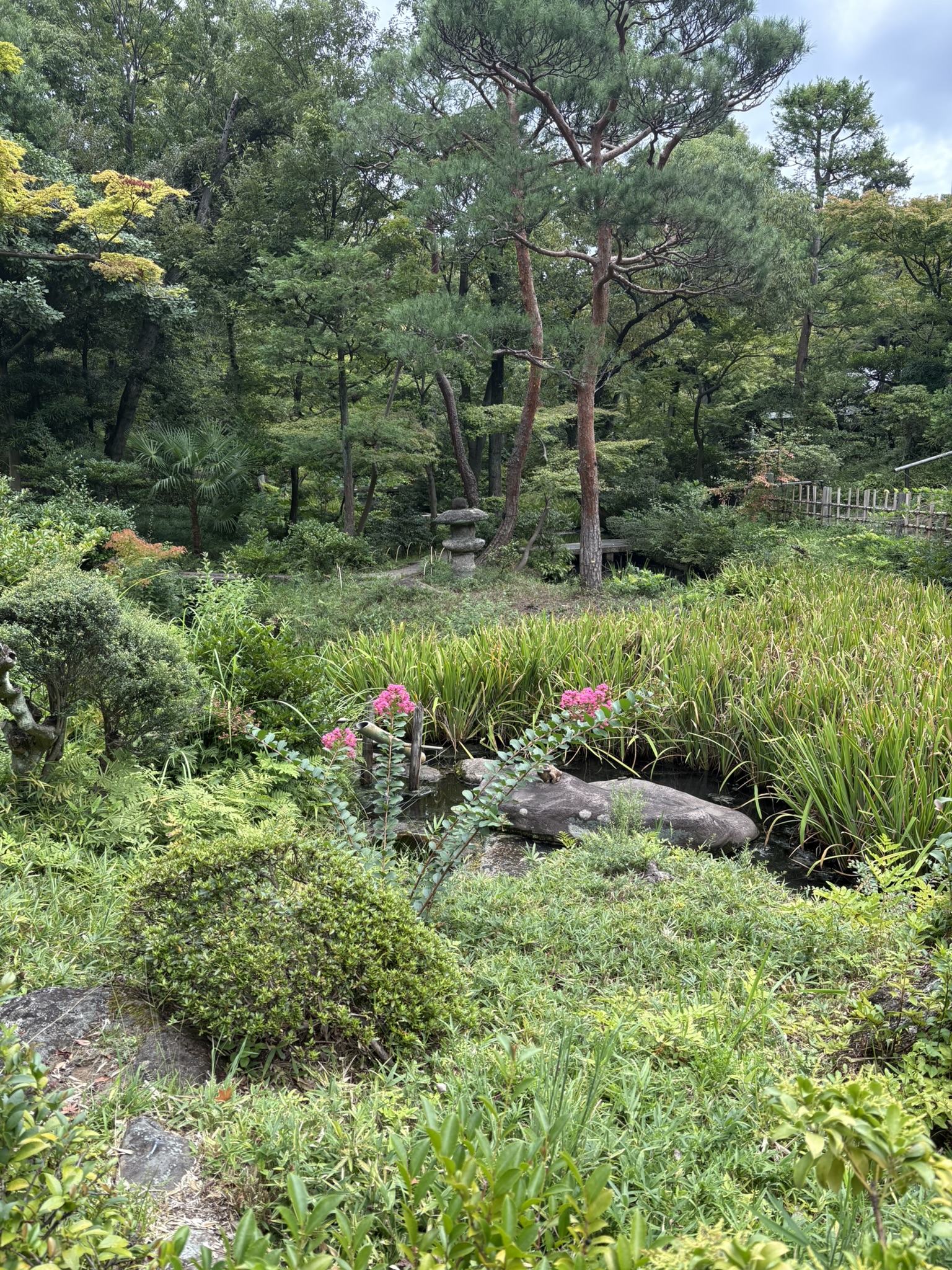 根津美術館 | Minato-ku Tokyo