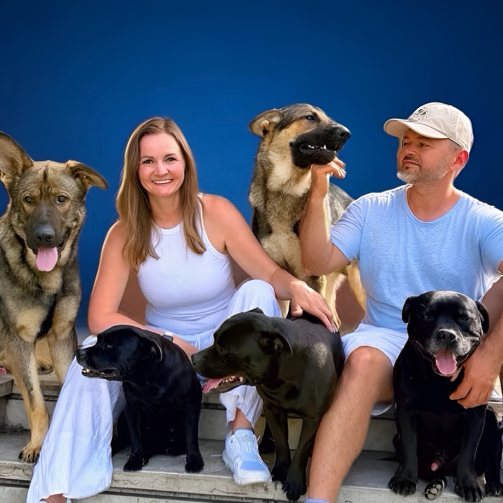 To all reactive dogs owner | Sofya Chernysheva Itl