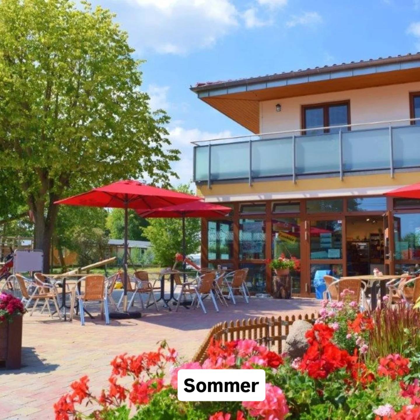 pop up zelt zusammenbauen Wetterfestes und extra leichtes Familienzelt für 3 Personen FeaturedAccessory Gear Optimizer : r/EpicSeven Size:L (Fits 5’9”–6’0”)