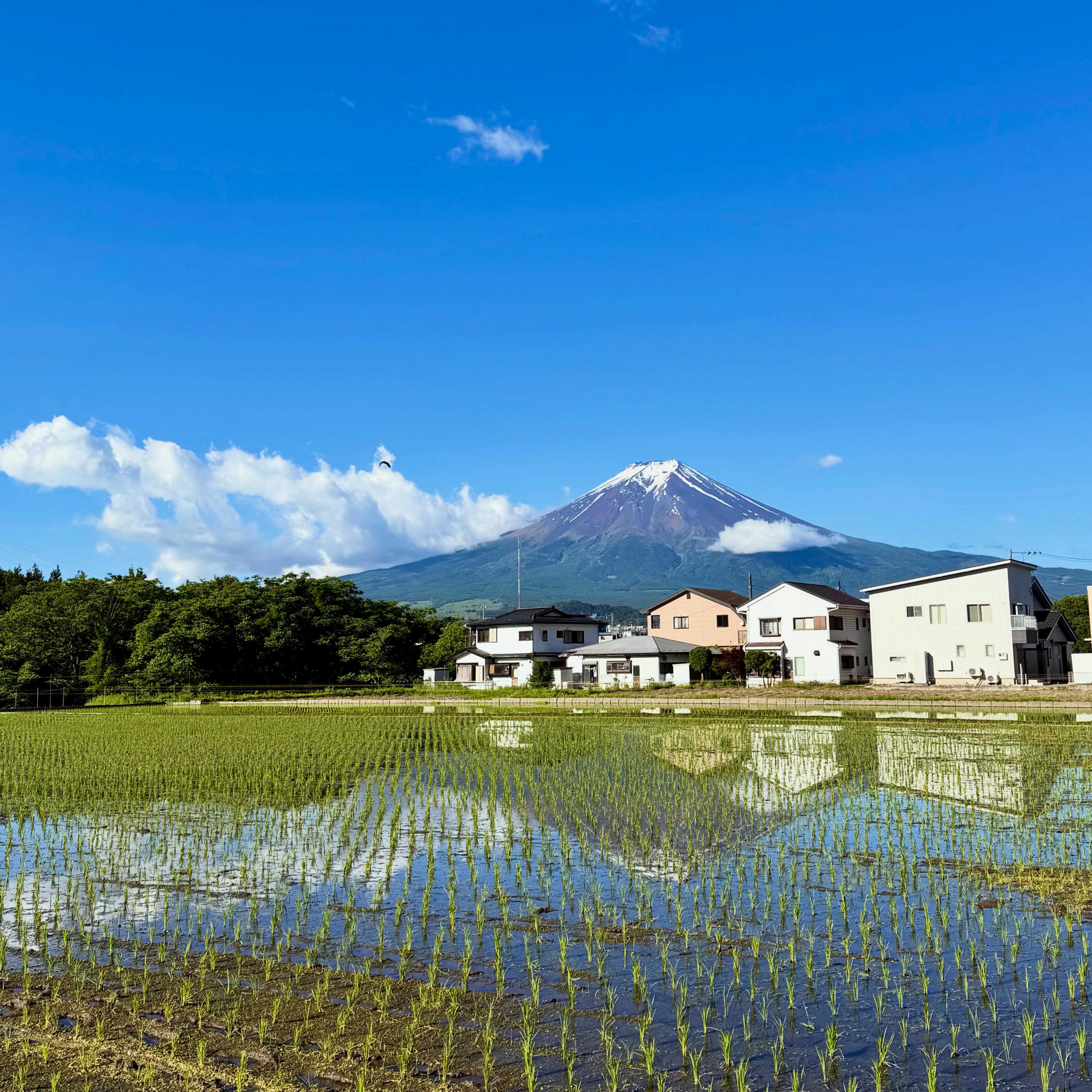 BRIGHT BLUE BREWING | Fujiyoshida-shi Yamanashi