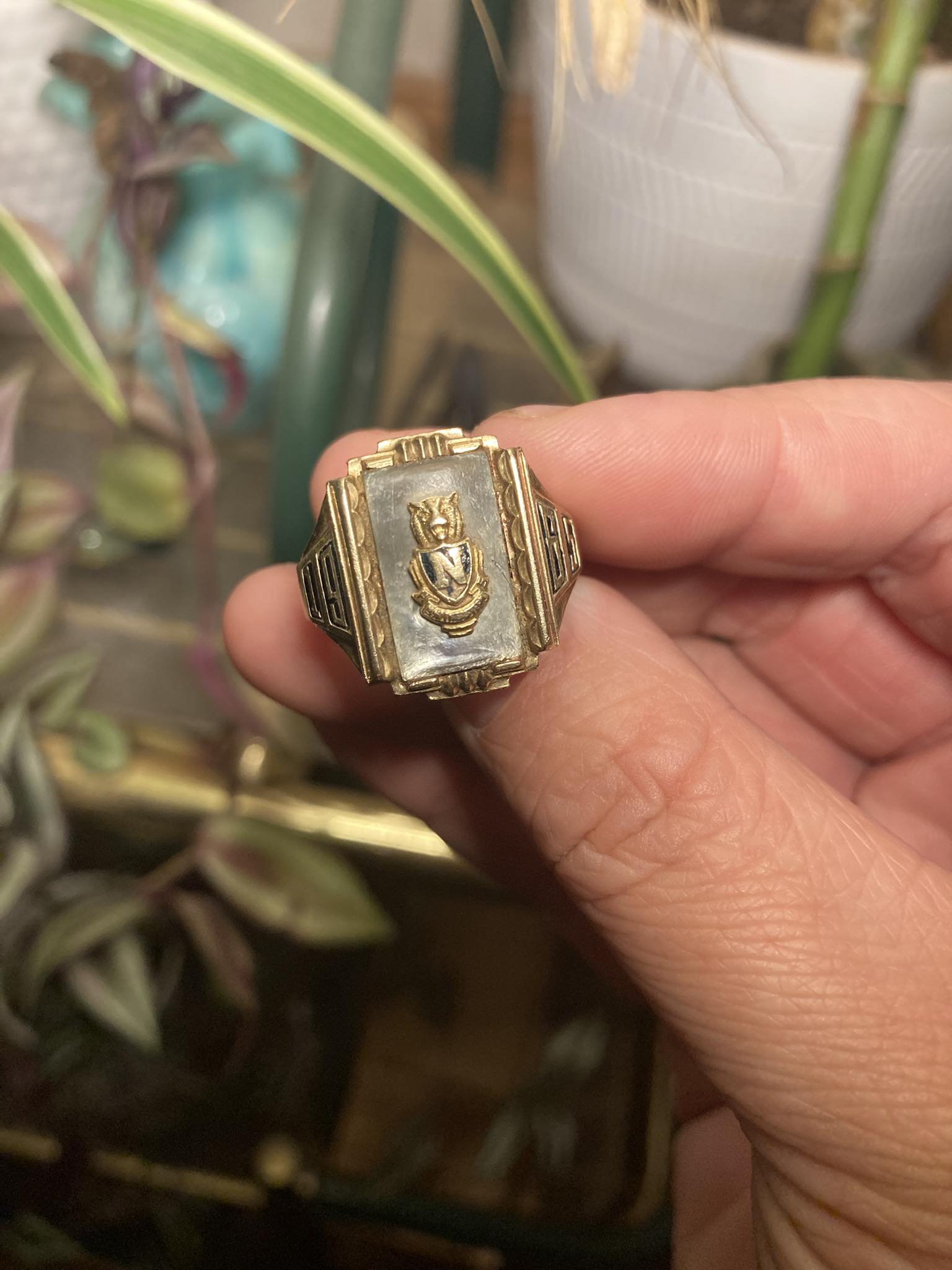 Lost class ring from northeastern 1965 | Mount Wolf, PA