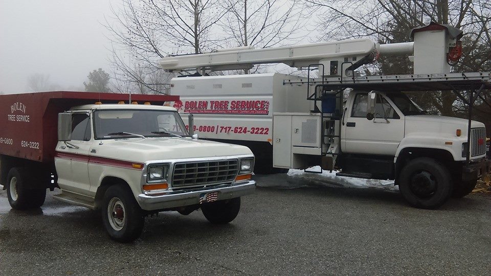 Bolen's Tree Service LLC | New Oxford PA