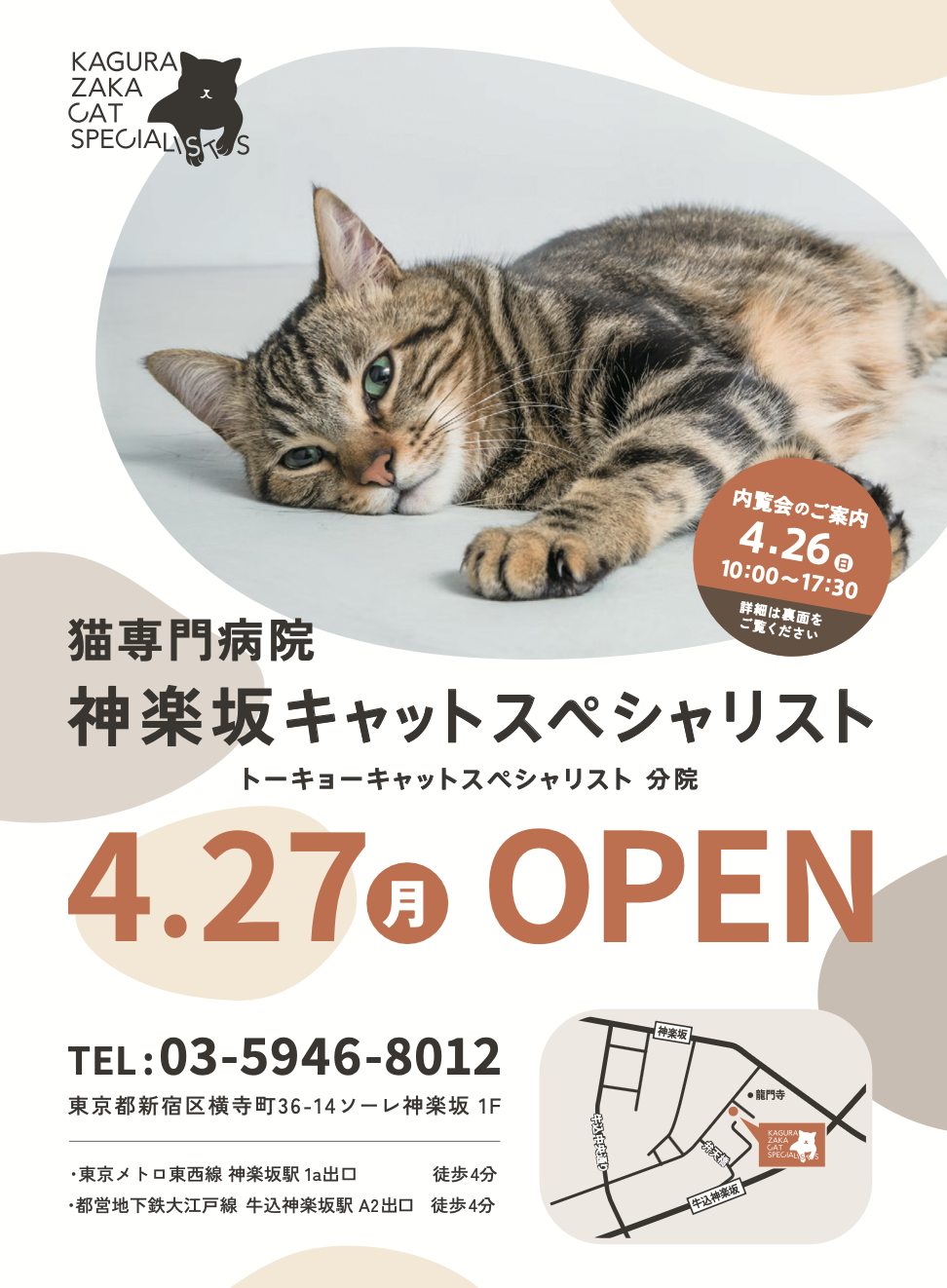 tokyo cat specialists