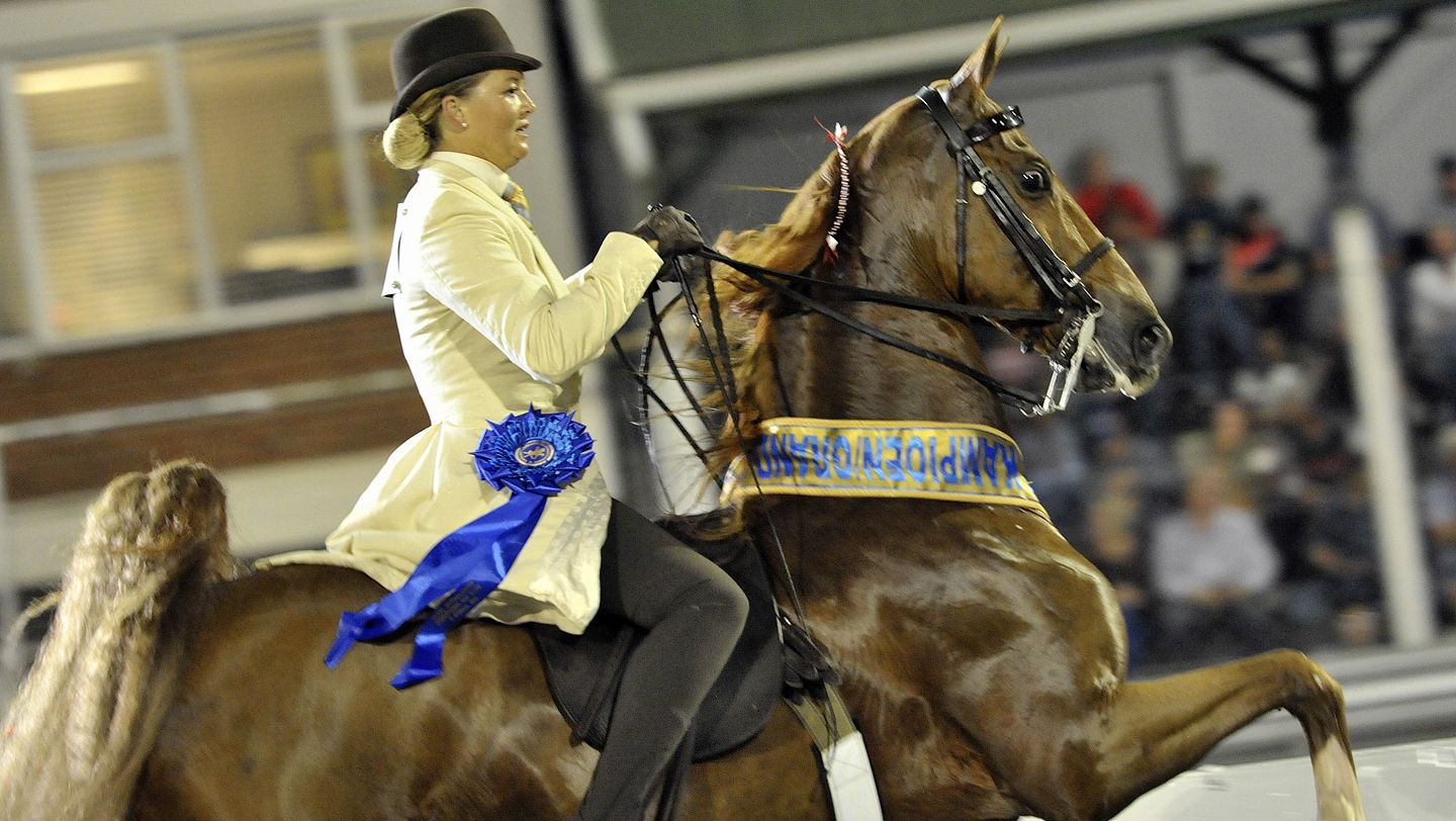 La Cola Stables | Facebook