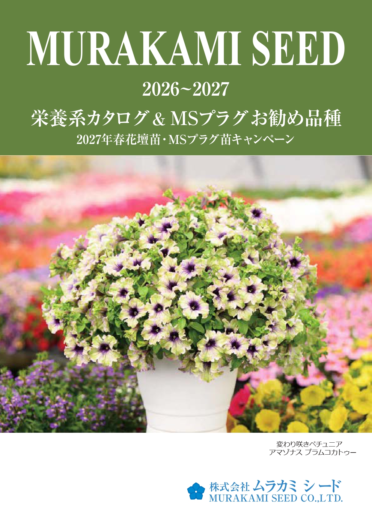3点まとめ買い特割≪赤/紫/緑、各360g≫ 本日行われたパンジー品種審査会で わらくピンクブロッチが3位入賞