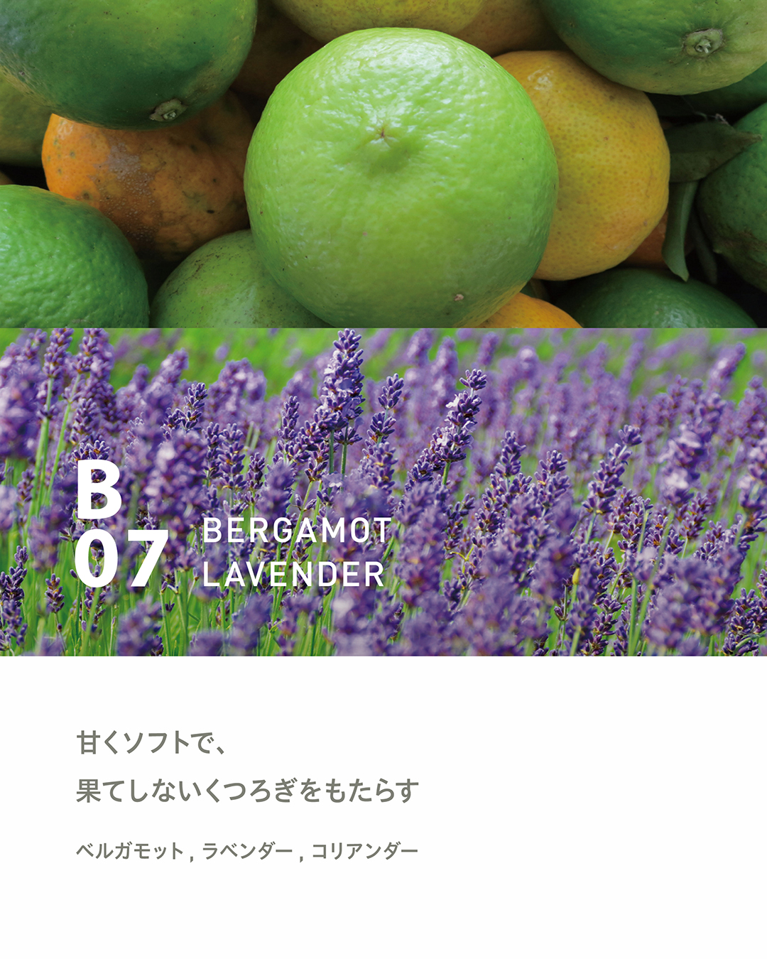 aroma - aroma added a new photo.