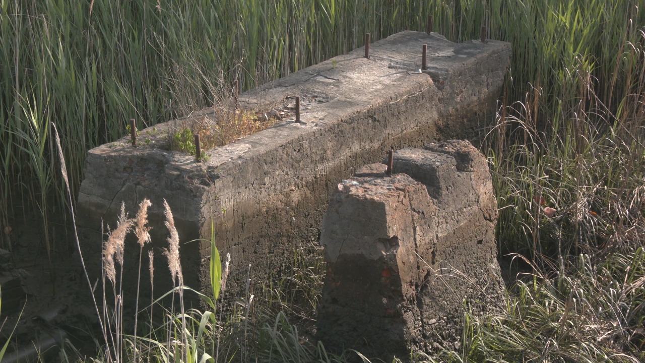 New discoveries on Eagles Island are shedding light on