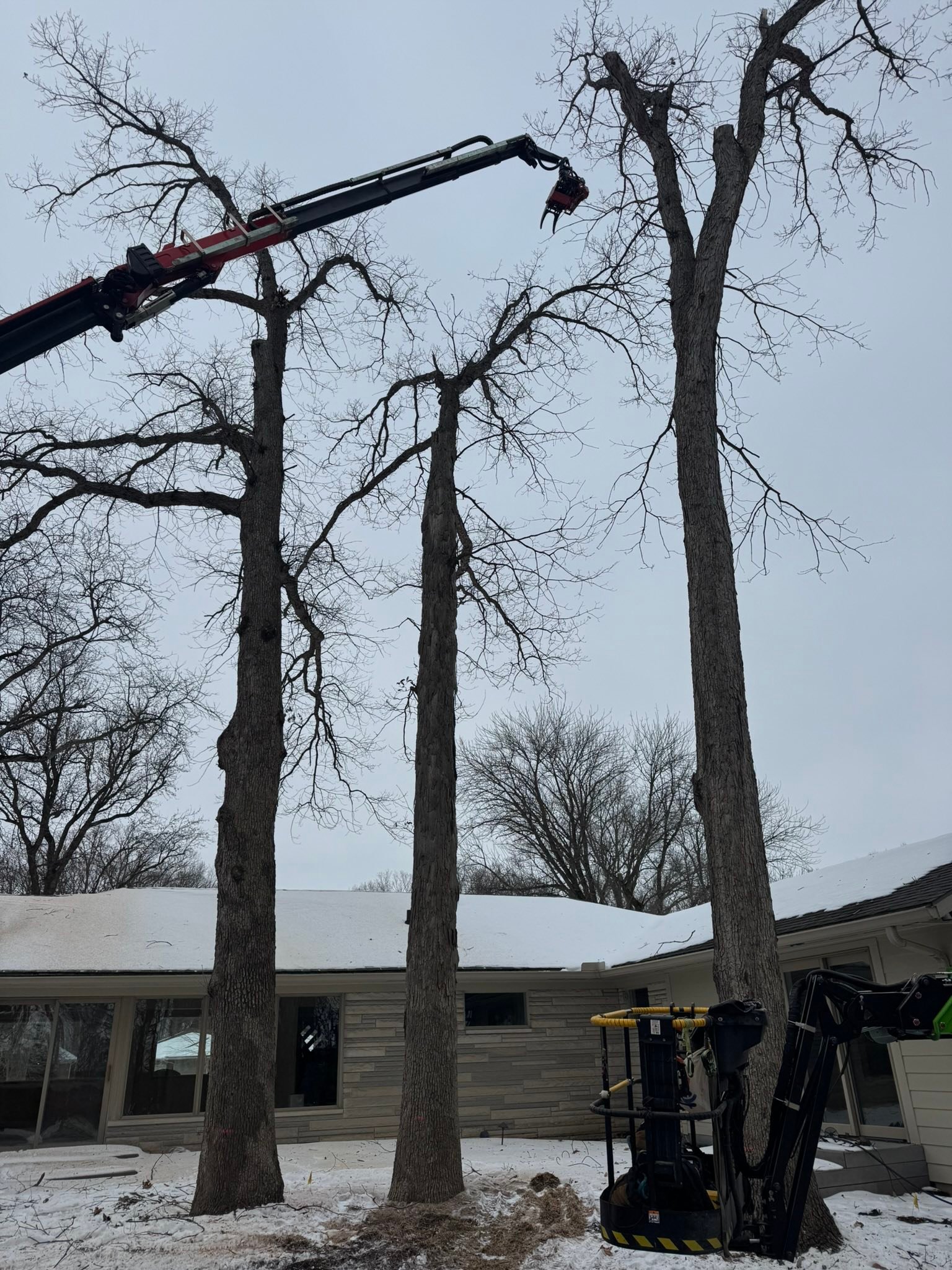 TNT-Tree - I’m liking this truck more and more every day, remote ...