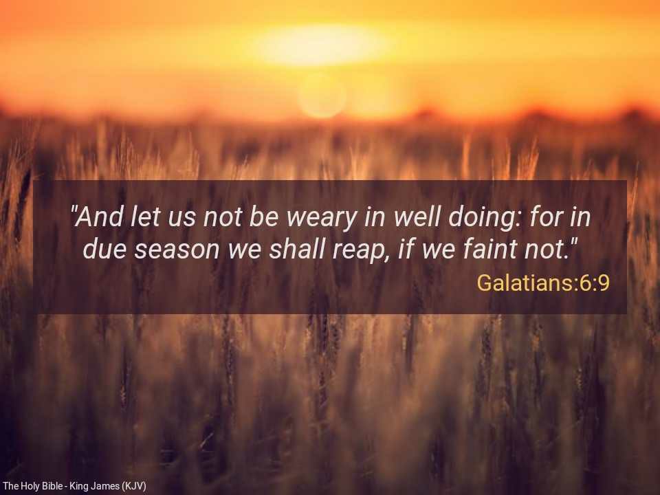 King James Bible Scripture Pictures | Facebook