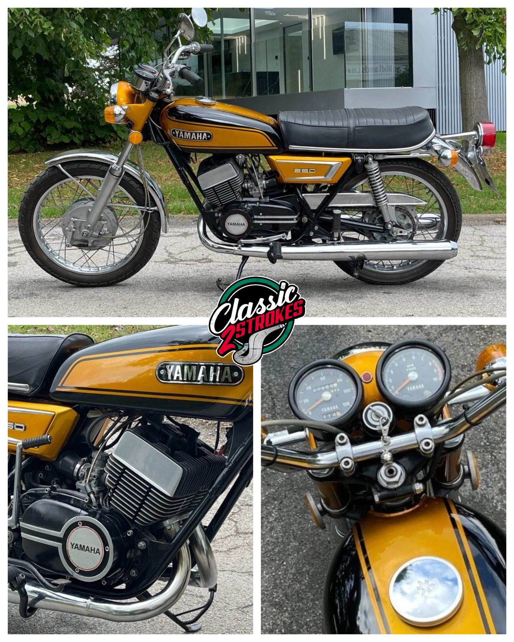 Classic - 1981 Suzuki GT250 X7