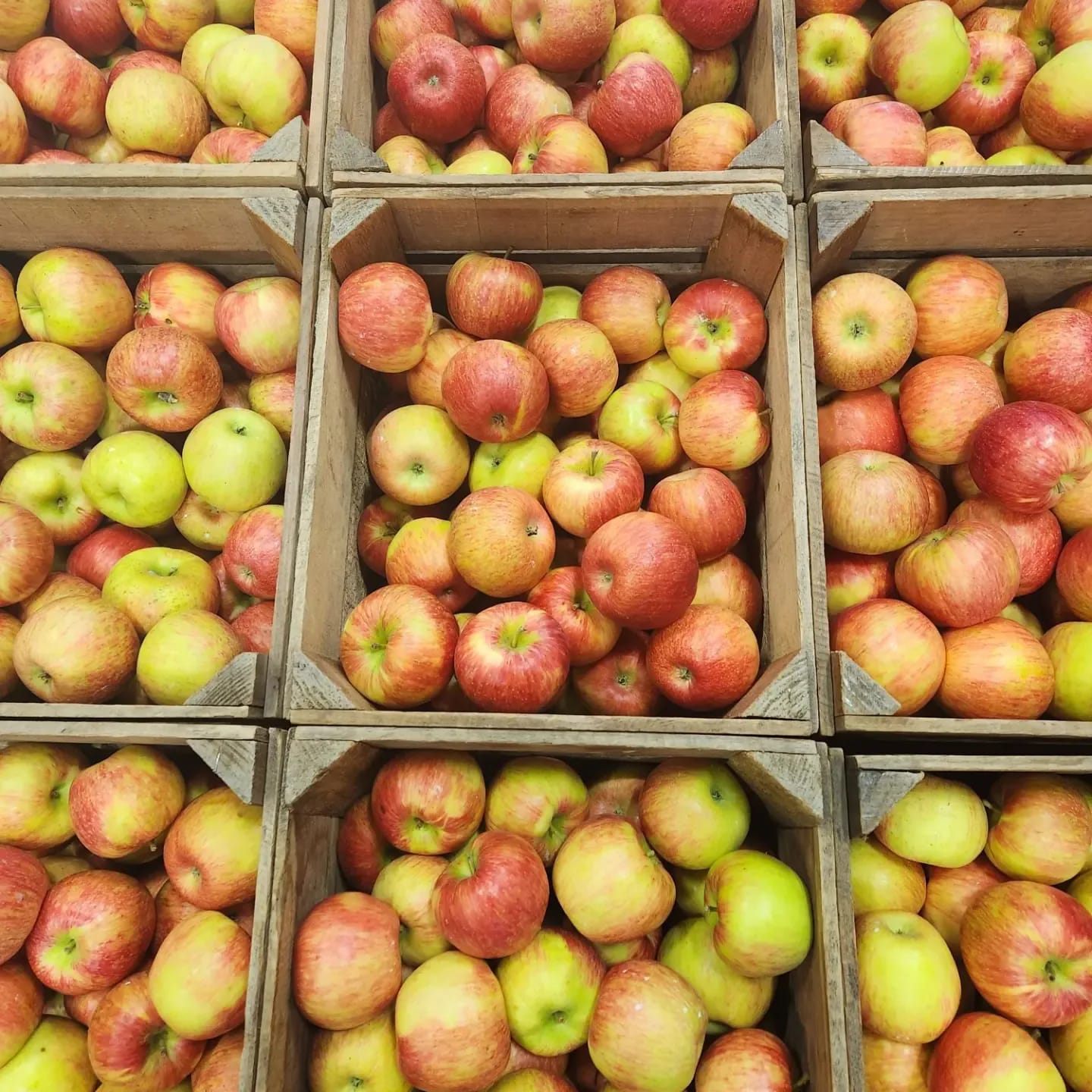 Harvest Festival at Way Fruit Farm