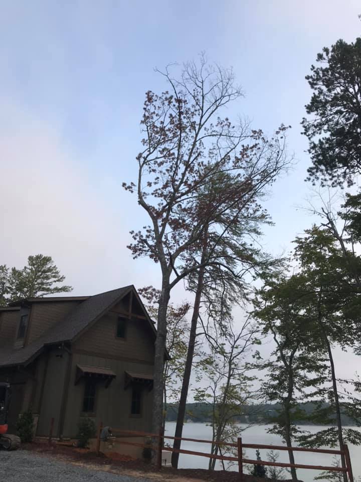 Tri-State Tree Works INC. | Blue Ridge GA