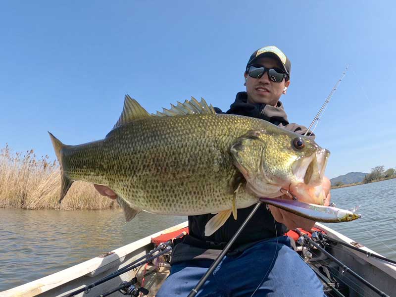 Megabass - 《メガバスショップin西春店情報》 新製品 反町隆史氏