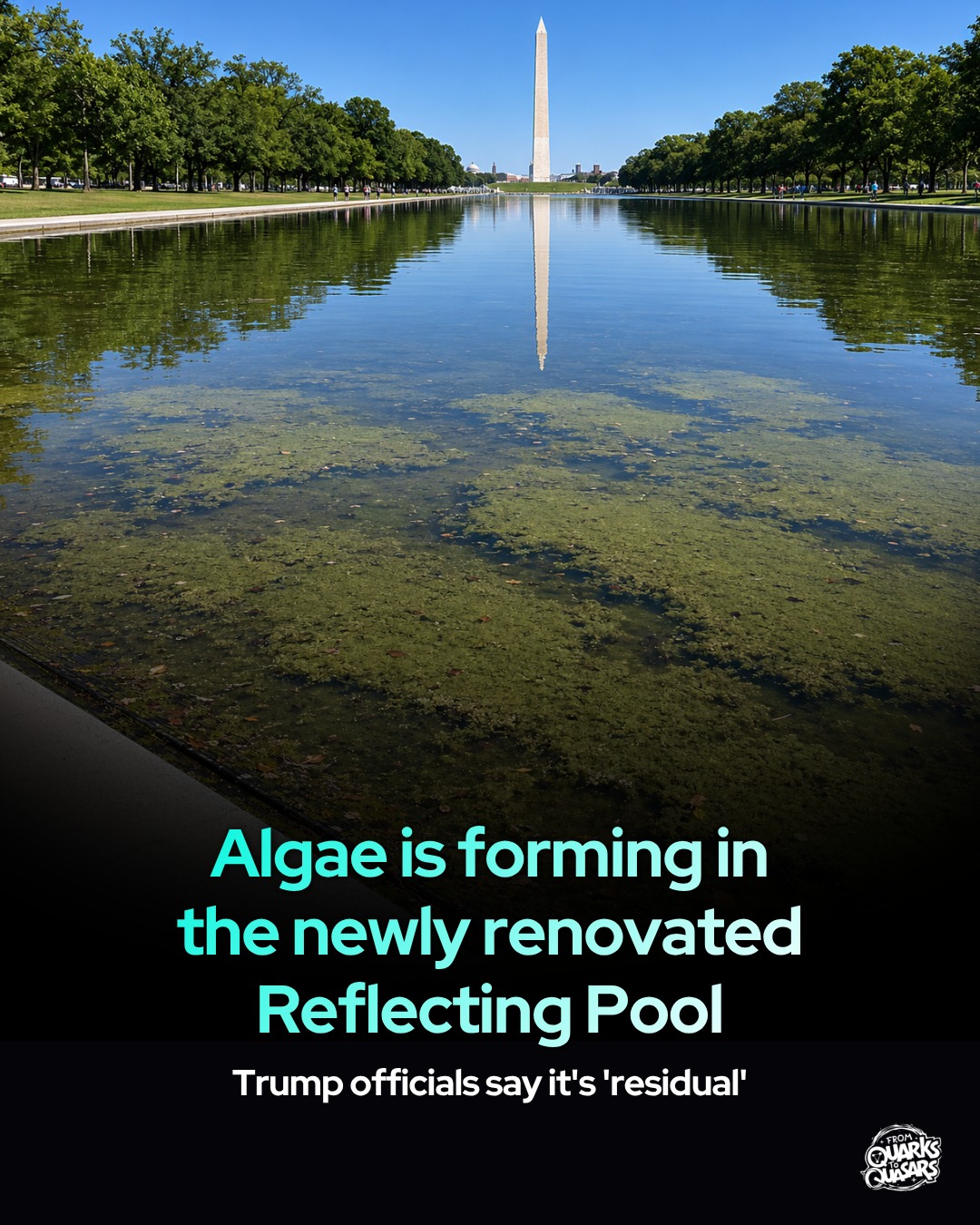 The Lincoln Memorial Reflecting Pool appeared to turn green after