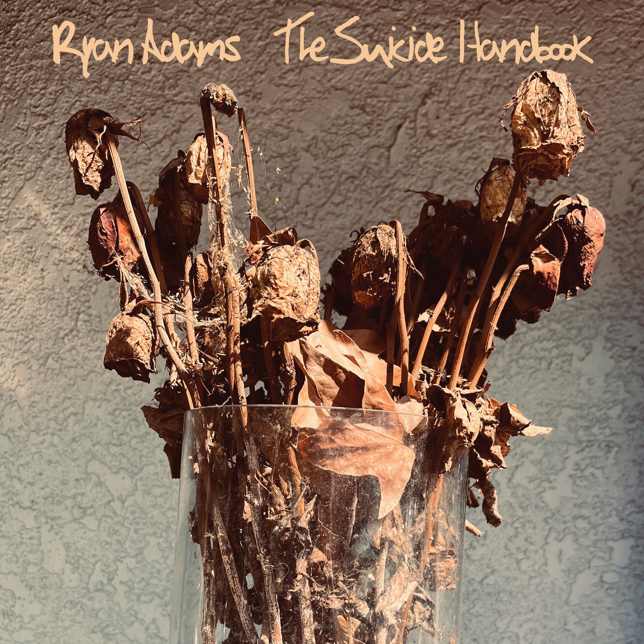 The Suicide Handbook - Out Now Order your copy on vinyl & CD or