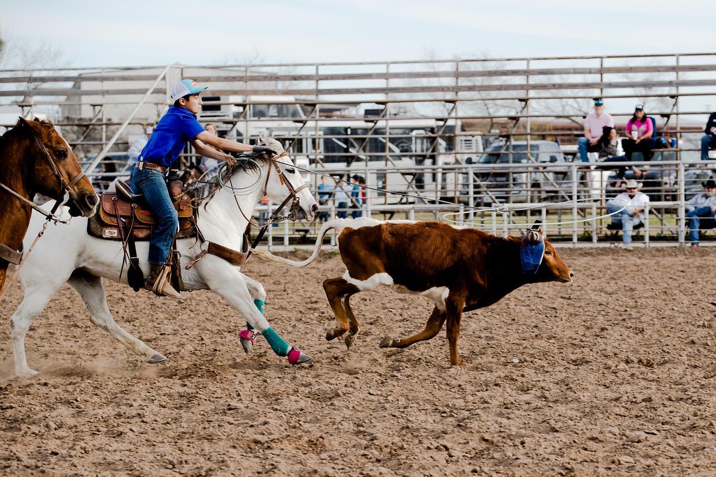 Miss Rodeo Live Oak