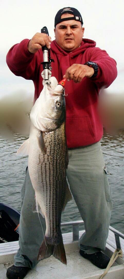 Katch Fishing