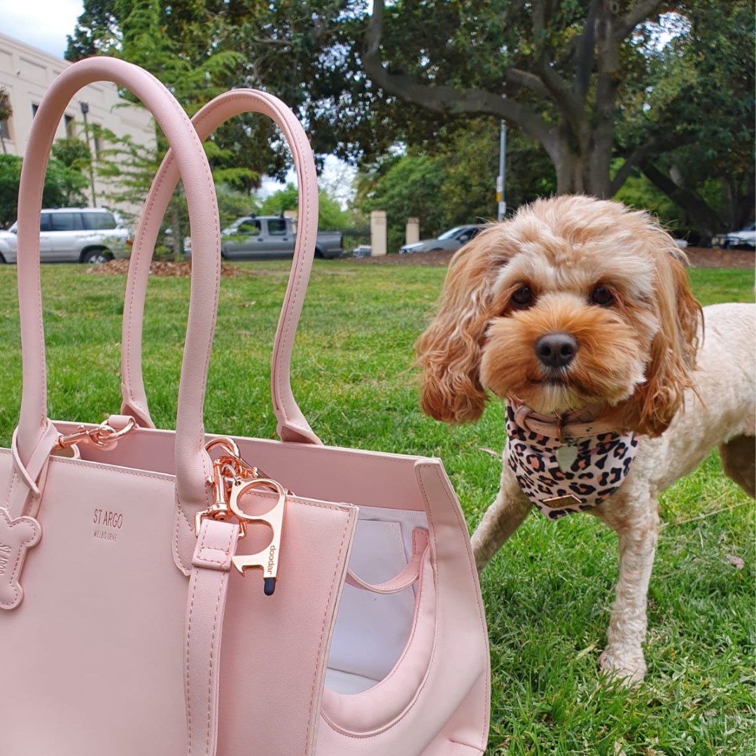 Doodar - Miss Henny has her doodar and bag ready and can't... | Facebook