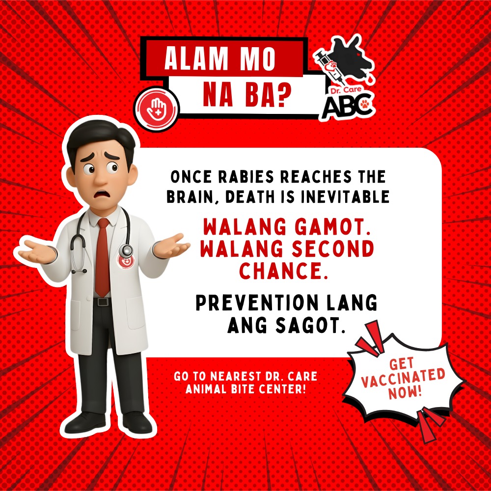 Animal - ⚠️ Kapag umabot na sa utak ang rabies, wala nang lunas. Walang ...