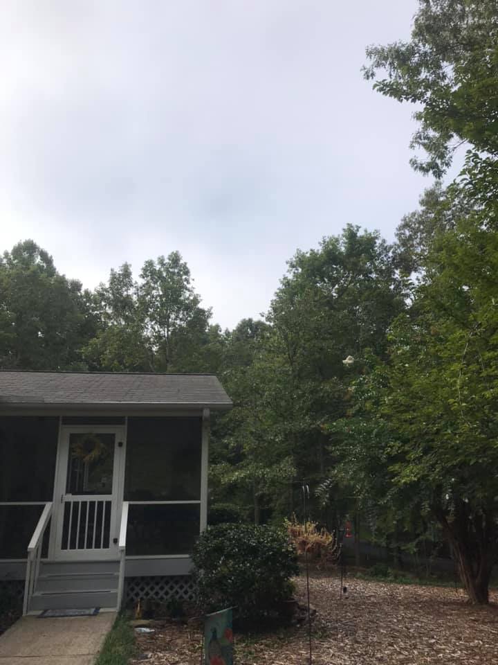 Tri-State Tree Works INC. | Blue Ridge GA