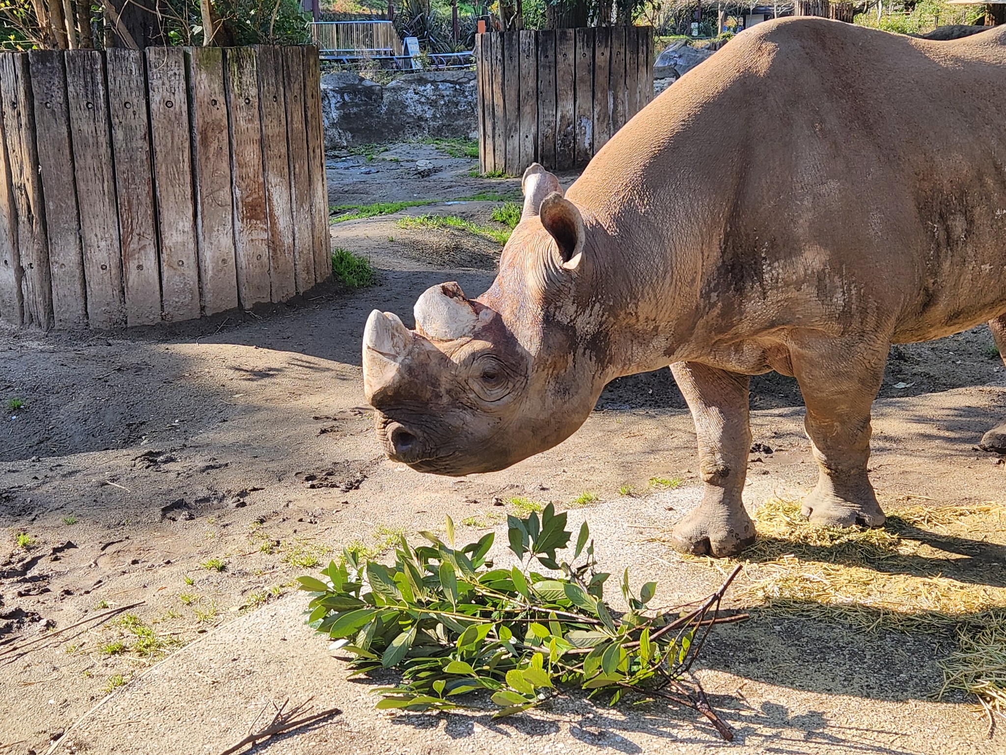 横浜 市立 金沢 動物園