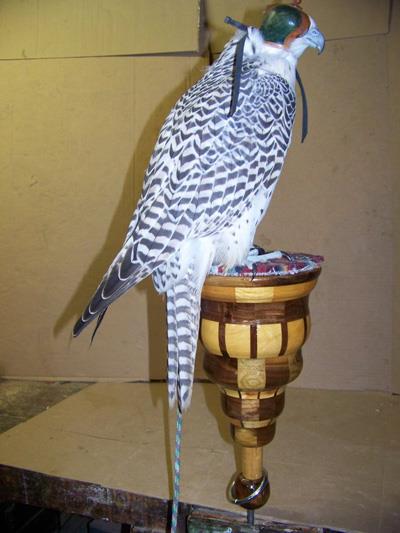 Cambridge Parquet Falcon Blocks | South Cambridge NY