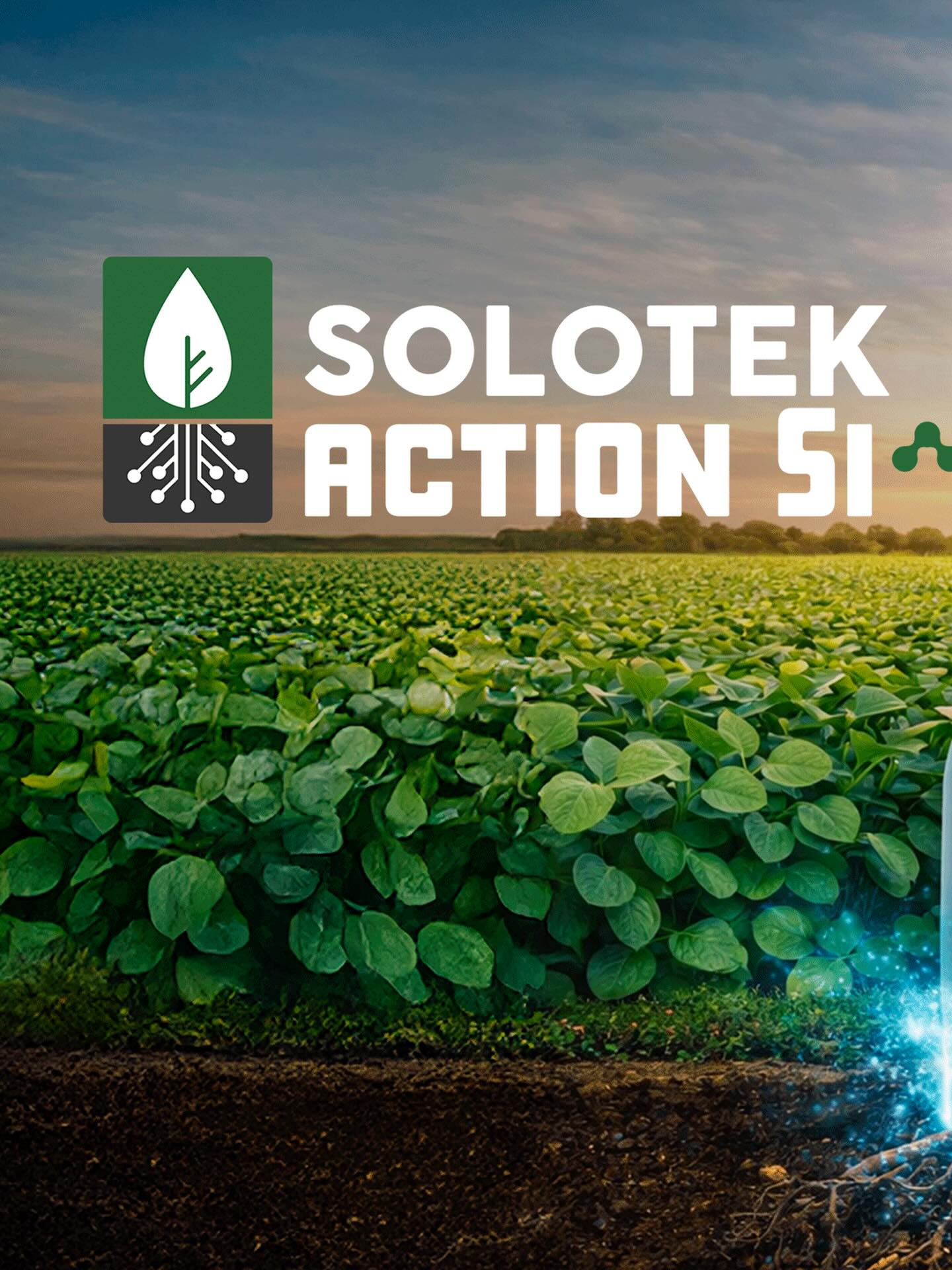 Solotek | Aparecida de Goiânia GO