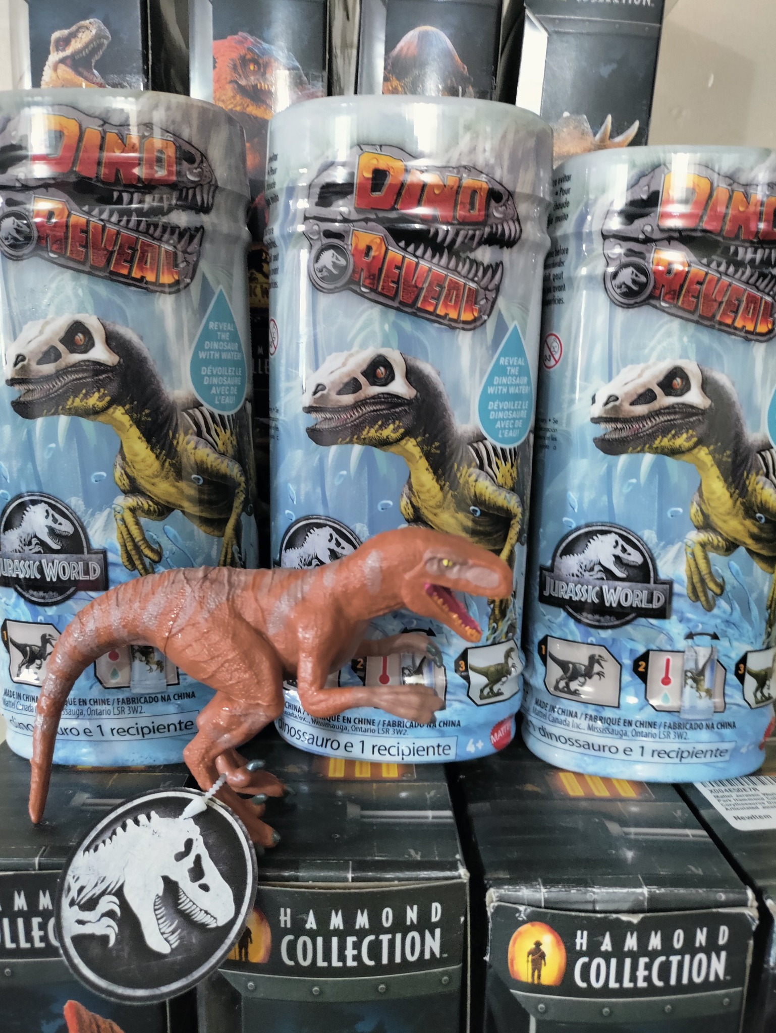 ROBO ALIVE Fossil Find Amber Adventure – Caja Sorpresa Con Baba Brillante, Fósiles De Dinosaurio Y Huevos De ámbar, Triceratops