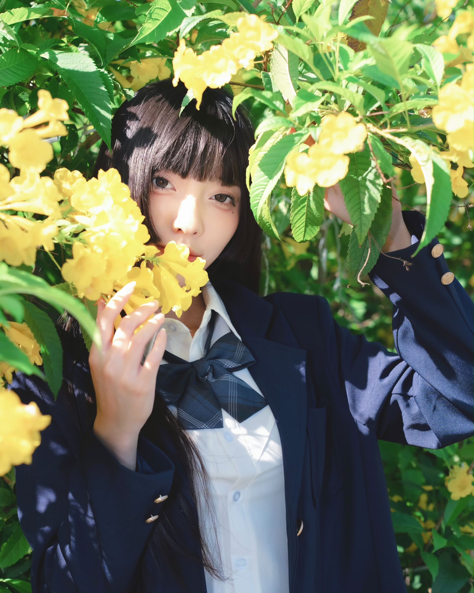 千代Chiyo (@Chiyo9130) • Facebook