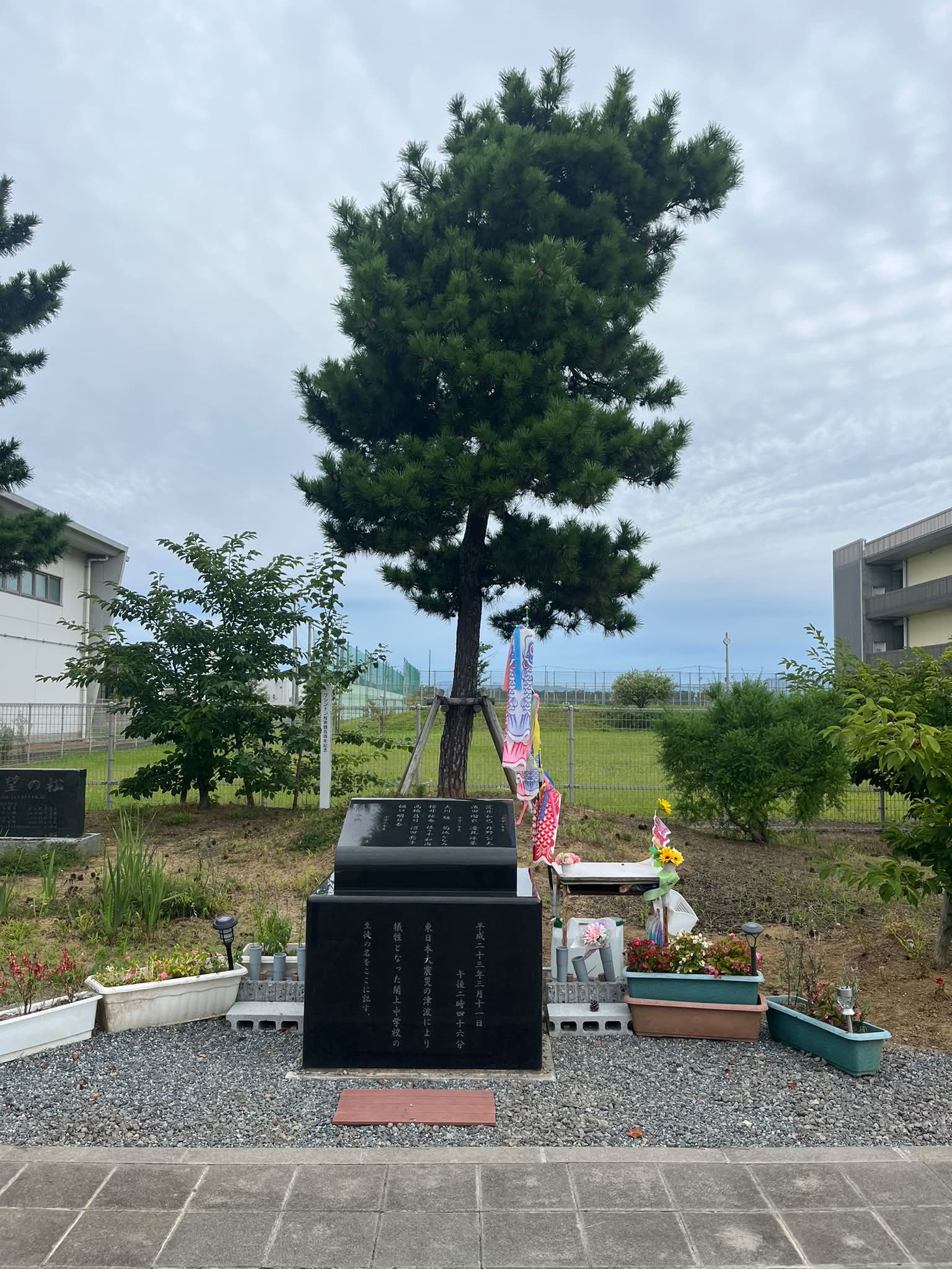 公の場での発言・インタビュー報道記録