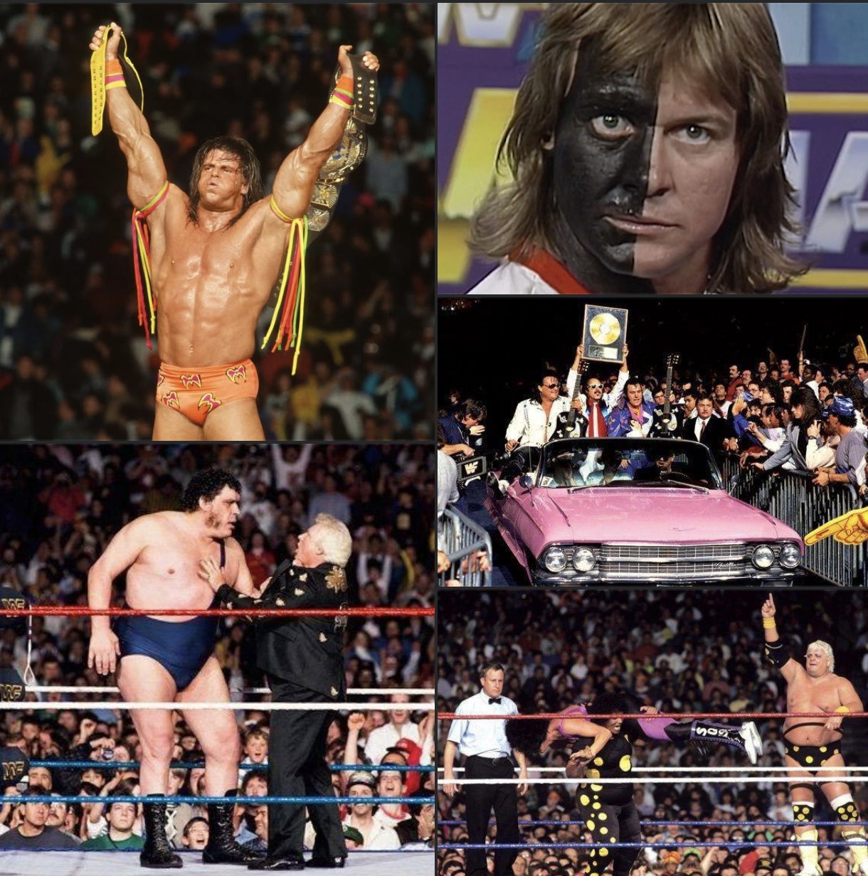 Today - 35 years ago today Wrestlemania VI 