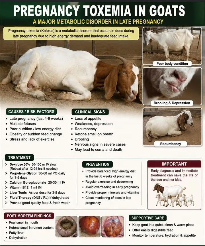 glutathione injection ppt Role of Vitamin B6 in Testosterone Synthesis Have that rosy-white glow Plan:Repair واقي شمس مضاد للأكسدة